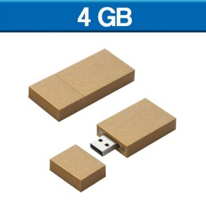USB ECOLOGICA CARTON 4GB