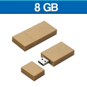USB ECOLOGICA CARTON 8GB